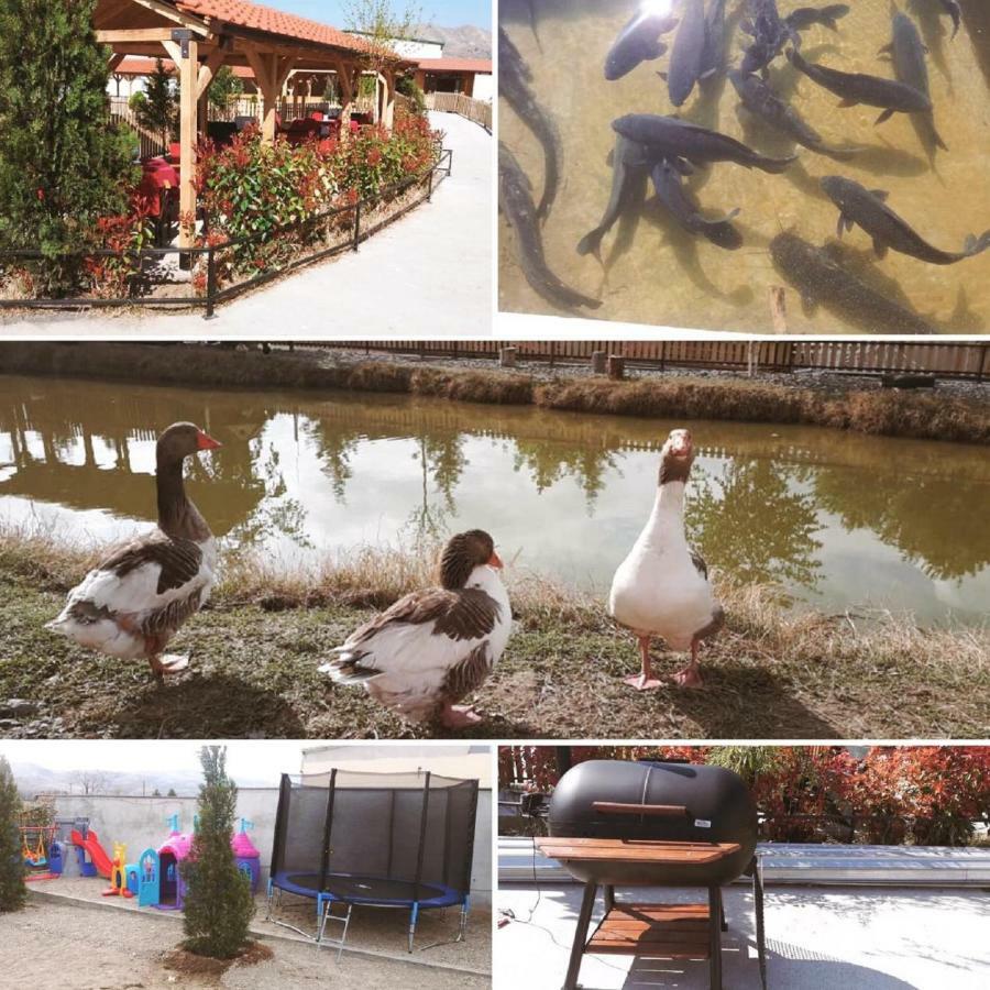 Hotel&Spamontenegro Rivijera Veles Eksteriør bilde